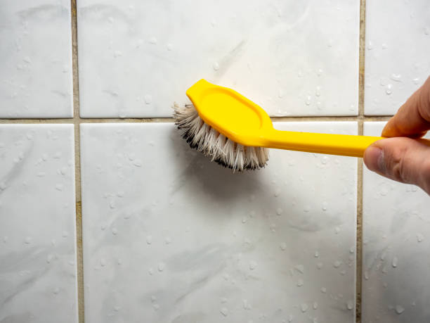 Best Mold Damage Repair  in West Conshohocken, PA