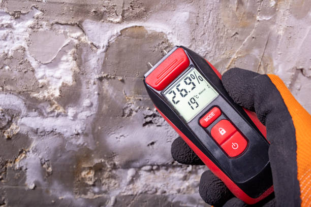 Crawl Space Mold Removal in West Conshohocken, PA