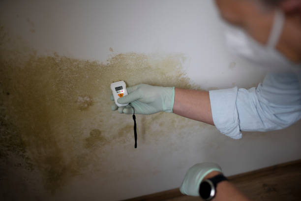 Best Toxic Mold Removal  in West Conshohocken, PA