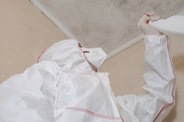 Best Certified Mold Removal  in West Conshohocken, PA