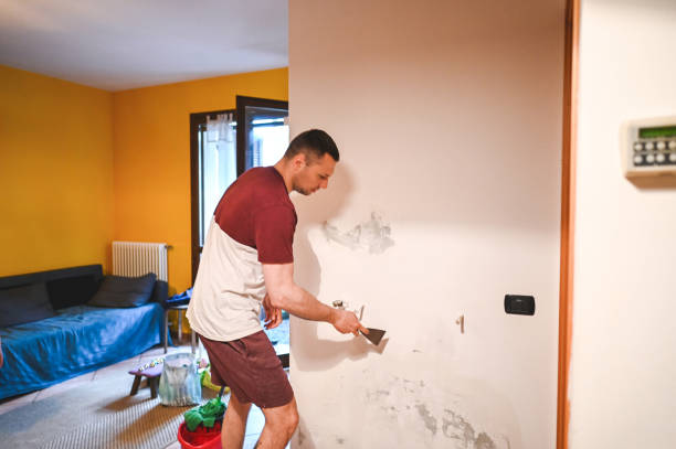 Best Residential Mold Removal  in West Conshohocken, PA
